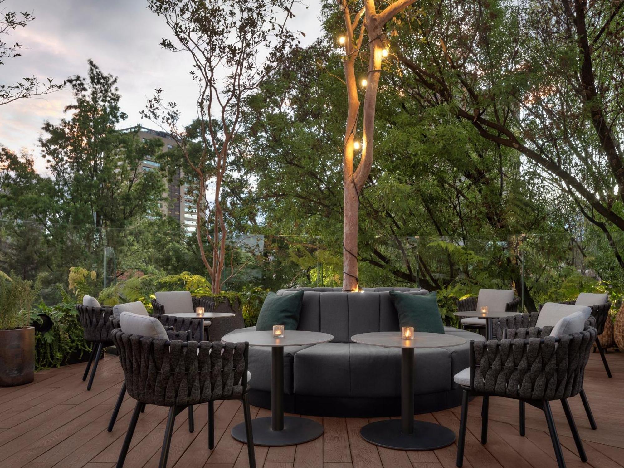 Kimpton Virgilio By Ihg Hotel Mexikóváros Kültér fotó